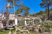 Toulon : une dizaine d'arbres arrachés au Faron après les violentes rafales de vent