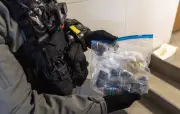 Toulon : une mère de famille interceptée avec 30 kg de cannabis pour la Corse