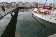 Un film irisé mystérieux pollue le port de La Rochelle, source inconnue