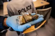 Un trafiquant de drogue rochelais condamné à trois ans de prison ferme