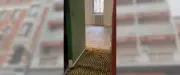 Un 'vide-moquettes' léopard insolite organisé par un hôtel toulousain en avril
