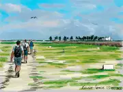 Une immersion au cœur des Terres australes françaises : la vie sauvage préservée de l'île Tromelin