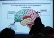 Virtual Therapia : une innovation IA et hypnose pour traiter le stress post-traumatique