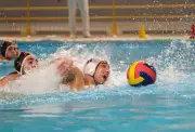 Water-polo : La Rochelle subit une lourde défaite face à Mulhouse