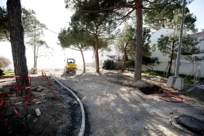 Abattage d'un pin parasol à la Pinède Gould d'Antibes : une décision municipale controversée