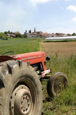 Aide de 20 millions d'euros pour les agriculteurs face à la flambée des coûts énergétiques