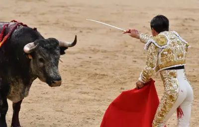 Ancien matador tué par un taureau à Malaga lors des préparatifs d'une corrida picassienne