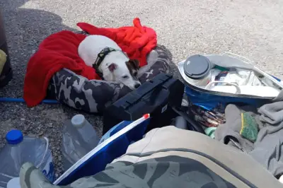 Antibes : la solidarité en ligne permet à Mika de récupérer son camion-logement