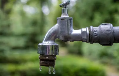 Ardennes : des maraîchers portent plainte après la contamination de leurs terres par les PFAS
