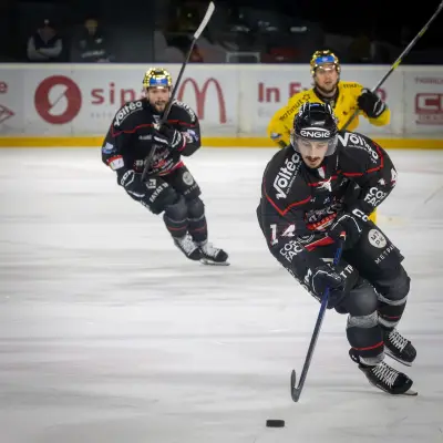 Boxers de Bordeaux contre Brûleurs de Loups : la finale de Ligue Magnus diffusée sur TV7