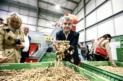 Brignoles, laboratoire de souveraineté alimentaire avec sa casserie d'amandes