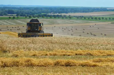 Cadmium dans les sols : la France surexposée, des solutions agricoles émergent