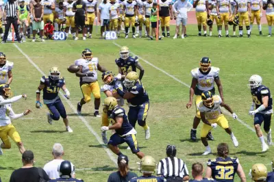 Canonniers de Toulon : cap vers la D2 de football américain ?