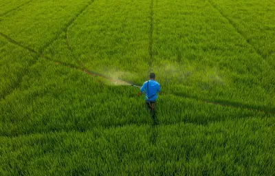 Charente-Maritime : perquisitions dans des exploitations pour pesticides non autorisés