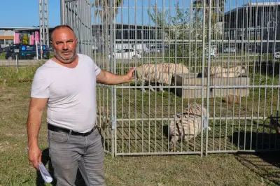 Cirque franco-belge : après l'interdiction à Fréjus, installation à Roquebrune-sur-Argens