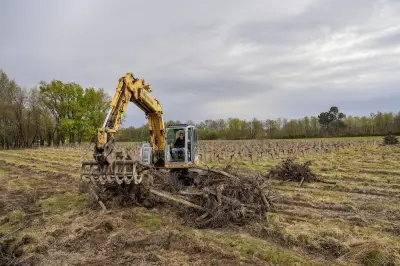 Crise viticole : le vignoble bordelais perd 17 515 hectares en deux ans