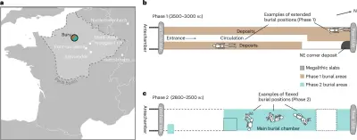 Découvertes scientifiques : du grand remplacement antique aux secrets du clitoris
