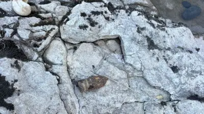 Deux obus de 1944 découverts à Pont-Saint-Esprit, digue fermée