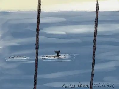 Expédition aux Kerguelen : Rennes en vue et ballet des baleines au Bras de la Fonderie