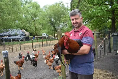 Ferme de la Hontique : œufs, poulets et lapins en plein air