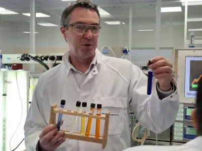 Fermentalg obtient l'avis positif de l'EFSA pour son colorant bleu naturel à base de microalgues