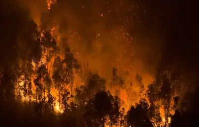 Feu de forêt en Lozère : 110 hectares ravagés à Altier, 152 pompiers mobilisés
