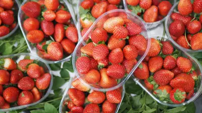 Fraise française : une baisse des prix en rayon grâce à une production abondante et une météo favorable