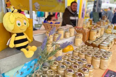 Fête du miel, salon des vins, fraise en fête : nos idées sorties dans les Alpes-Maritimes