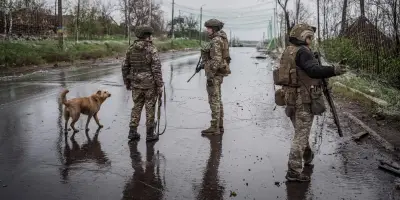 Guerre en Ukraine : trois nouveaux pays financent des armes américaines