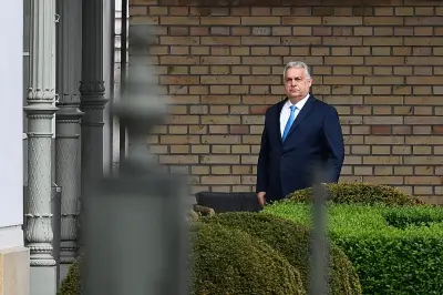 Hongrie : les leçons de la défaite d'Orbán pour l'Europe face à l'extrême droite