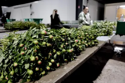 Horticulture varoise : une renaissance florissante malgré les défis