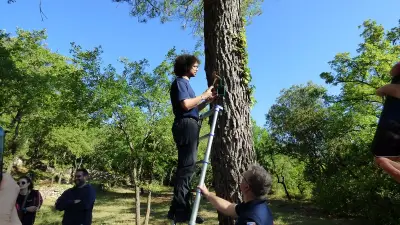 Incendie dans l'Aude : des capteurs satellites pour anticiper les départs de feu