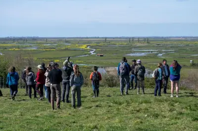 La réserve naturelle de la Massonne : un sanctuaire de biodiversité en Charente-Maritime