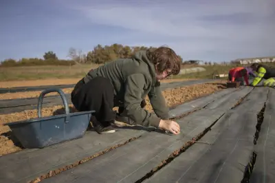 L'école Etre Gironde lance une formation préqualifiante 'De la terre à l'assiette'