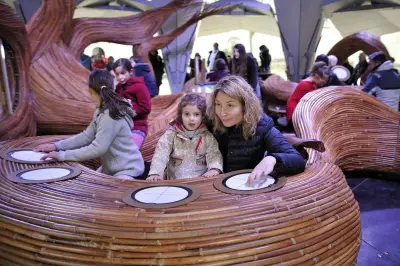 Le Carrousel Musical de l'Abbaye aux Dames : Une Expérience Sonore Unique