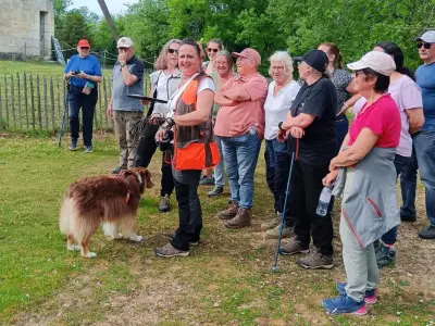Le Club canin du Pays nontronnais accueille des épreuves nationales de recherche utilitaire