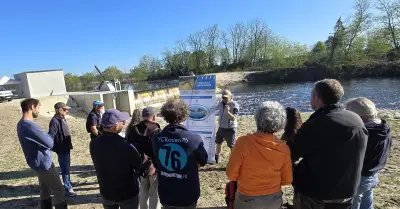 Le cycle de vie fascinant de l'anguille européenne dévoilé au Porge
