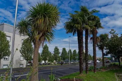 Le maire Lindsey Deary annonce une rencontre avec le président lors du conseil municipal