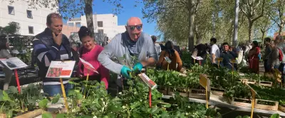 Le marché aux fleurs de Nîmes attire la foule pour ses plants locaux en ce lundi de Pâques