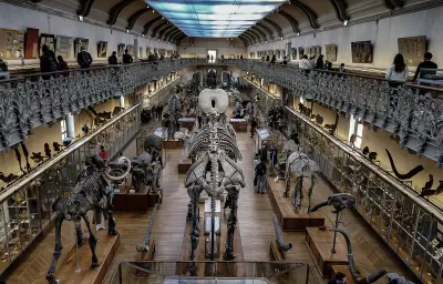 Le Muséum d'Histoire naturelle en péril : un patrimoine de 400 ans se dégrade