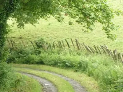 Le Trail du Xarnegu : une course nature inédite au cœur des collines basques en 2026