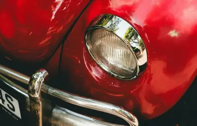 Les automobilistes français comptent les insectes sur leurs plaques pour étudier leur déclin