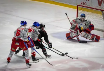 Les Boxers de Bordeaux à une victoire du titre après une nouvelle démonstration face à Grenoble