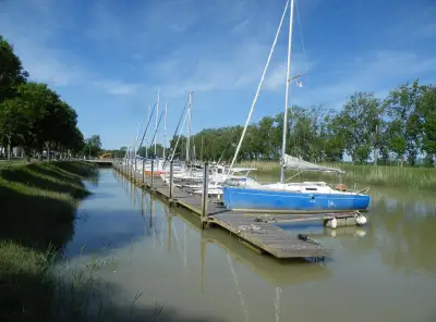 L'estuaire en fête : animations et chiens sauveteurs à Port Maubert