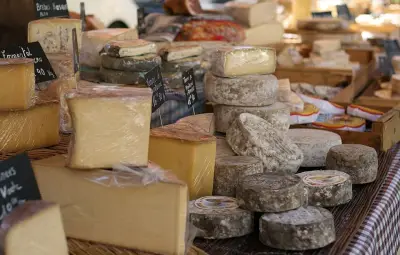 L'histoire secrète des fromages français : entre mythes et réalité archéologique