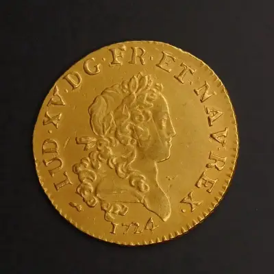 Louis d'or du trésor du Chameau vendu aux enchères à La Rochelle
