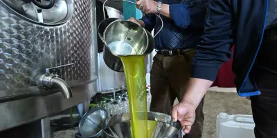 L'étrange anomalie du prix de l'huile d'olive déroute les marchés