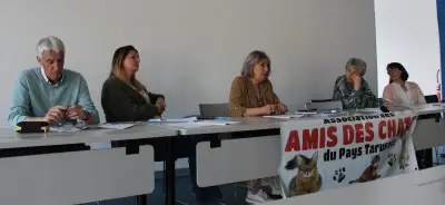 Lutte contre l'errance féline : 188 chats pris en charge par l'association