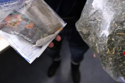 Marseille : 148 interpellations et 200 000 € saisis dans une vaste opération anti-drogue