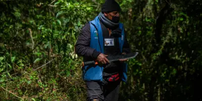 Mexique : 199 défenseurs de l'environnement assassinés en une décennie